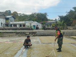 Babinsa Koramil 08/Silih Nara Bantu Warga Jemur Kopi, Pererat Silaturahmi di Desa Genting Gerbang