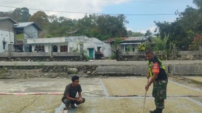 Babinsa Koramil 08/Silih Nara Bantu Warga Jemur Kopi, Pererat Silaturahmi di Desa Genting Gerbang