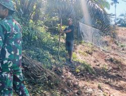 Satgas TMMD ke-128 Kodim 0420/Sarko Bersama Warga Pasang Pagar Jaring Dilokasi Ketahanan Pangan