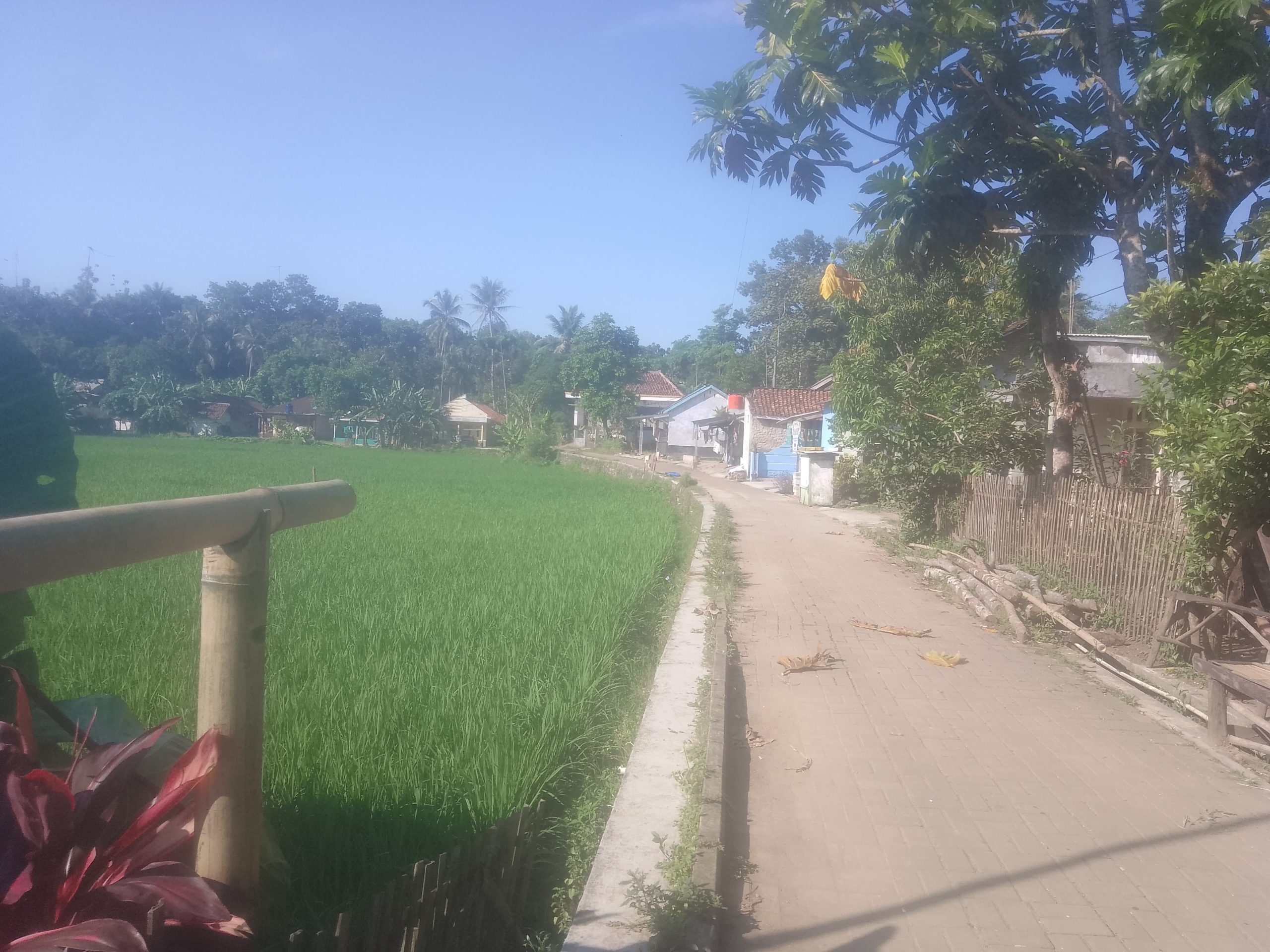 Rindukan Jalan Poros, Warga Kampung Rancawiru & Rancagarut Mohon Segera di Bangun