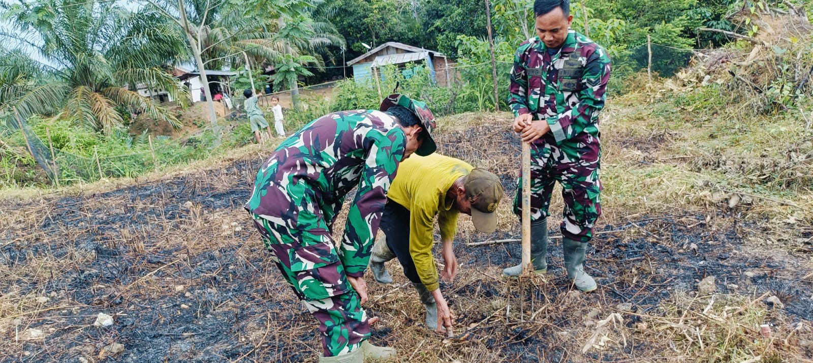 Satgas TMMD Ke-128 Kodim 0420/Sarko Mulai Tanami Ubi Kayu Dilokasi Ketahanan Pangan