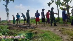 Babinsa Koramil Bulukerto Pererat Sinergi dengan Petani, Ketahanan Pangan Jadi Prioritas Bersama