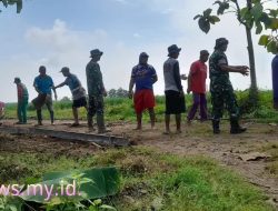 Babinsa Koramil Bulukerto Pererat Sinergi dengan Petani, Ketahanan Pangan Jadi Prioritas Bersama
