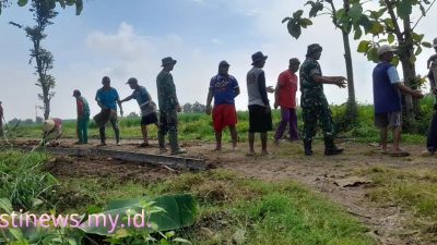 Babinsa Koramil Bulukerto Pererat Sinergi dengan Petani, Ketahanan Pangan Jadi Prioritas Bersama