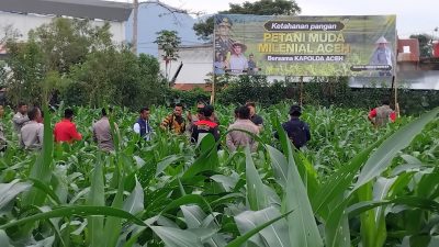 Kapolres Aceh Tengah Tinjau Perkembangan Tanaman Jagung Program Ketahanan Pangan