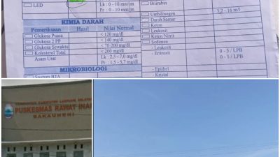 Bidan Berinisial A Dipuskes Bakauheni Kabupaten Lampung Selatan Diduga Melakukan Malpraktik