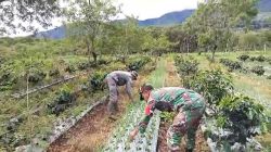 Babinsa Koramil 06/Jagong Laksanakan Ketahanan Pangan di Wilayah Binaan