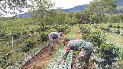 Babinsa Koramil 06/Jagong Laksanakan Ketahanan Pangan di Wilayah Binaan