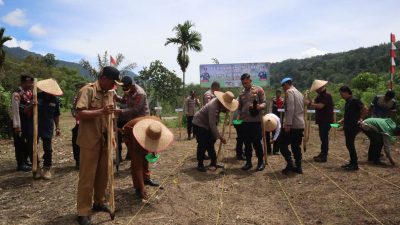 Polres Bener Meriah Dukung Swasembada Pangan Melalui Penanaman Jagung Kuartal II